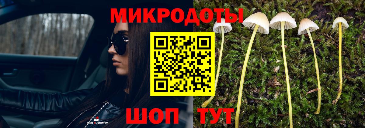 Галлюциногенные грибы Cubensis  Вход с VPN  Верхняя Салда 